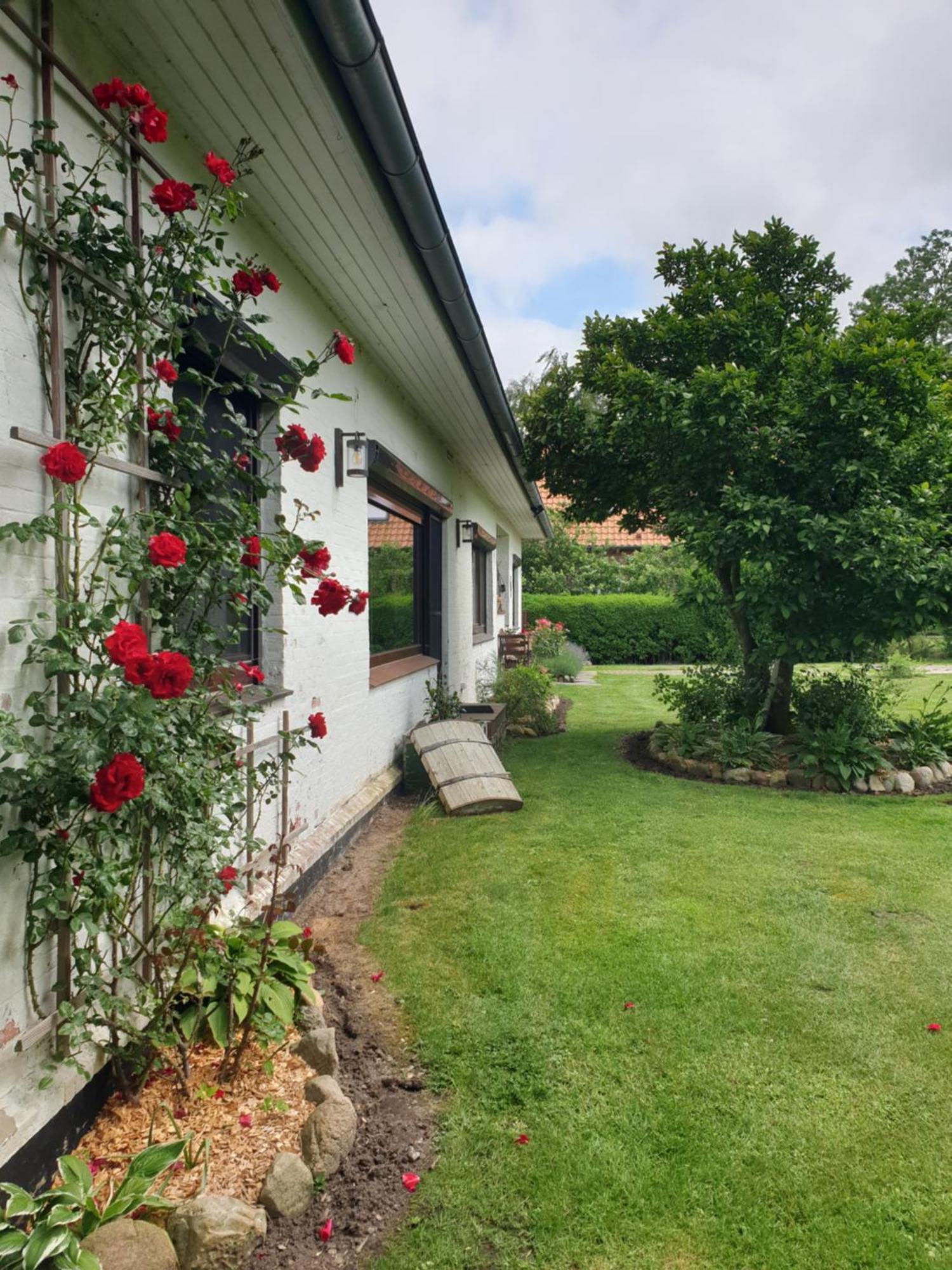 Apartamento Osteblick Oberndorf  Exterior foto